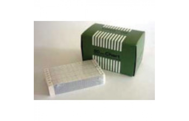 日本千野 CHINO ES503-ES600系列記錄紙